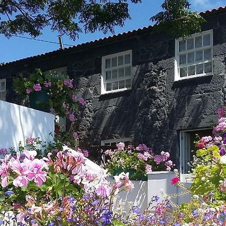 Manadas Casa Do Ze - Alゲストハウス エクステリア 写真